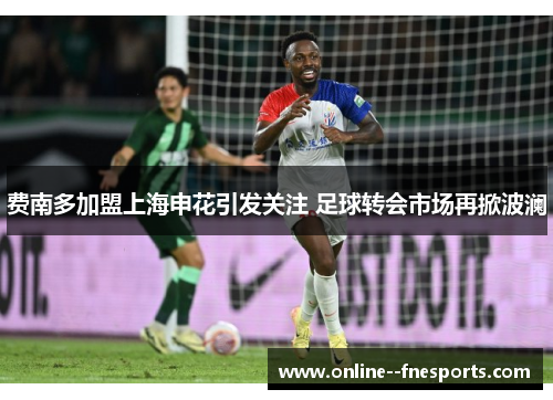 费南多加盟上海申花引发关注 足球转会市场再掀波澜