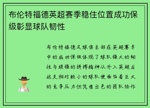 布伦特福德英超赛季稳住位置成功保级彰显球队韧性 布伦特福德英超赛季稳住位置成功保级彰显球队韧性